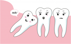 Răng khôn là răng nào? Một người có bao nhiêu răng khôn?